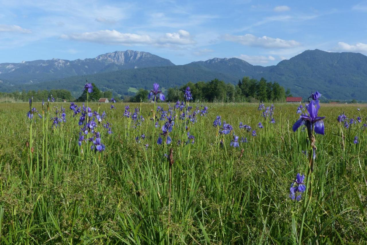 Hotel Zentrum Fuer Umwelt Und Kultur - Gaestehaus Und Jugendbildungseinrichtung Im Maierhof à Benediktbeuern Extérieur photo